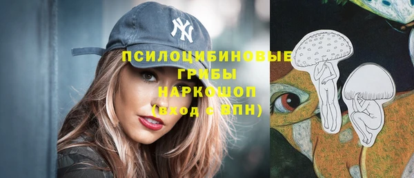 PSILOCYBIN Алексеевка