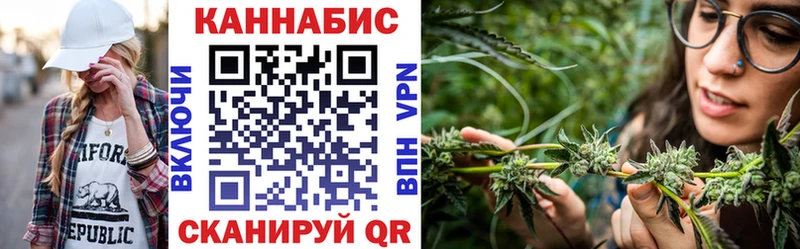 как найти закладки  Грязовец  Каннабис Amnesia 